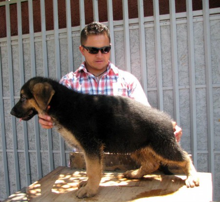 BONO VON VALENZSAL´K